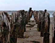 Mandø  (c) Henk Melenhorst : Denemarken, Jutland, Mandø