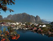 Reine