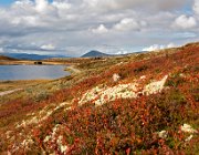 Rondane