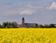 Panorama Deventer  (c) Henk Melenhorst : Deventer, koolzaad