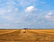 Hø  (c) Henk Melenhorst : Denemarken, Jutland, hooi