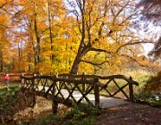 Nieuw Rande, Diepenveen  (c) Henk Melenhorst : Nieuw Rande, Deventer, herfst