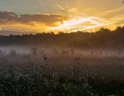 Haaksbergerveen  (c) Henk Melenhorst : Haaksbergerveen