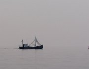 IJsselmeer, Urk  (c) Henk Melenhorst : IJsselmeer, Urk